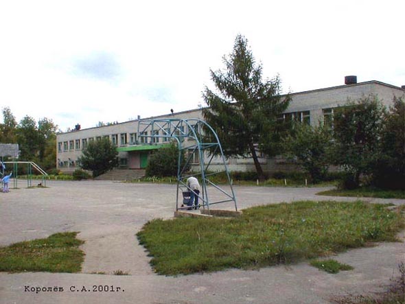 школьный стадион школы 5 на Растопчина 31а во Владимире фото vgv