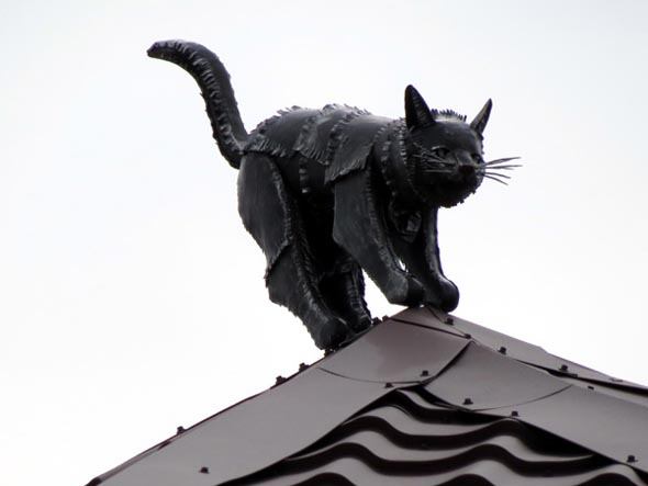 Кошка на крыше во Владимире фото vgv