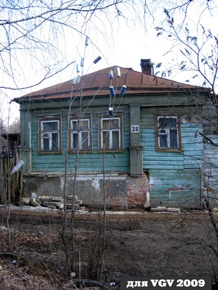 Весна пришла...Банки распустились весной 2009 года у дома 30 на Сакко и Ванцетти во Владимире фото vgv
