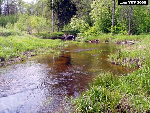 река Ущерка у деревни Ширманиха во Владимире фото vgv