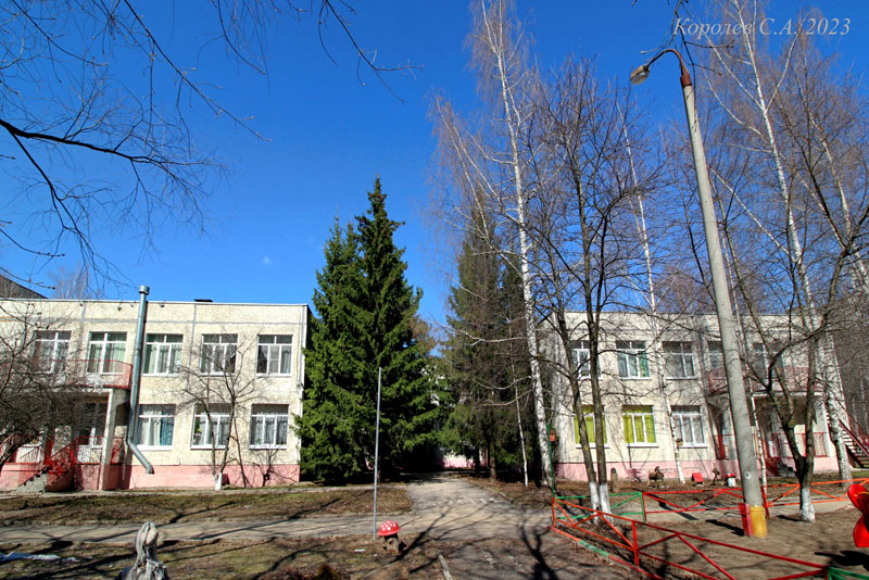 Детский сад N 112 «Росинка» на Соколова Соколенка 4а во Владимире фото vgv