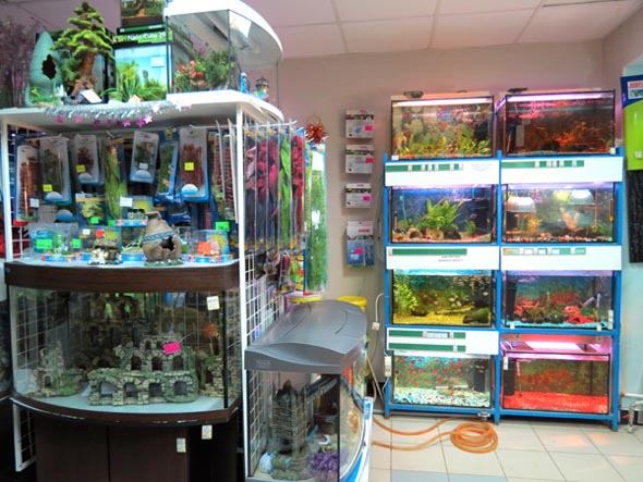 Зоомагазин «Природа» товары для животных во Владимире фото vgv