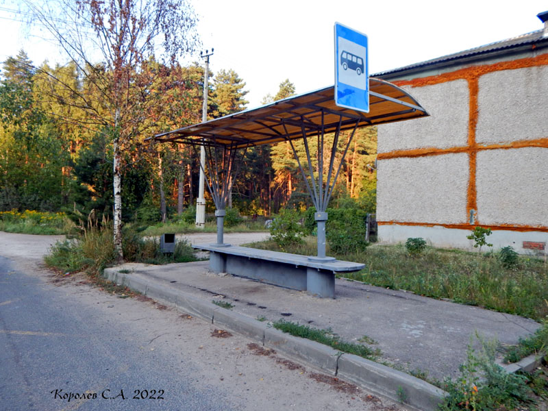 остановка «Турбаза Ладога» у дома 9 на Сосновой улице во Владимире фото vgv