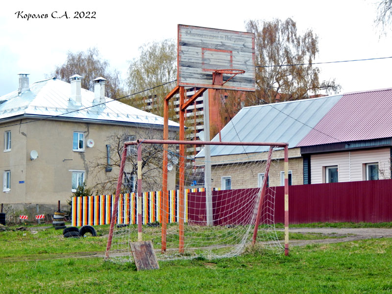 спортивная площадка на улице Совхоз Вышка во Владимире фото vgv