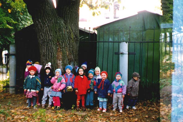 Детский сад N 81 Теремок во Владимире фото vgv