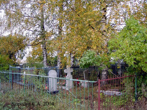 кладбище села Спасское во Владимире фото vgv