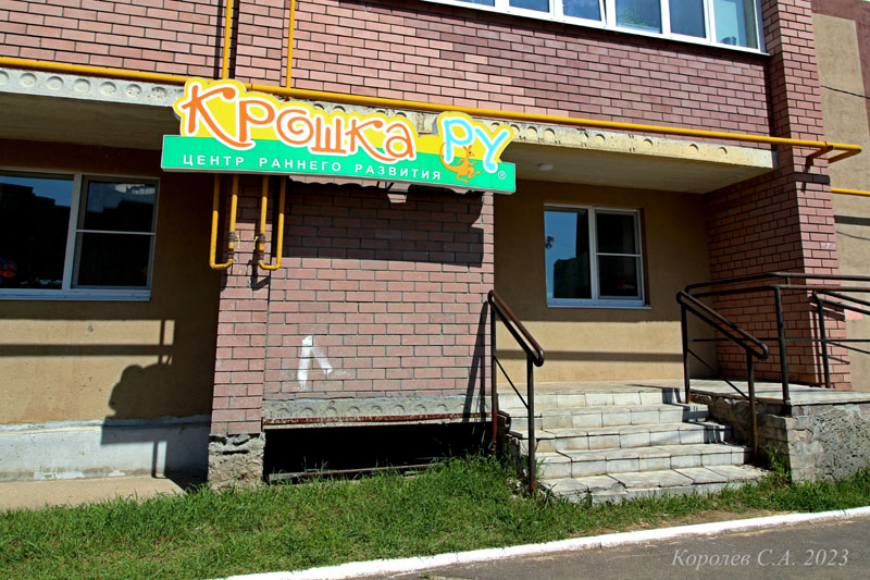 детский сад и центр развития детей «Крошка Ру Владимир» на Сперанского 17 во Владимире фото vgv