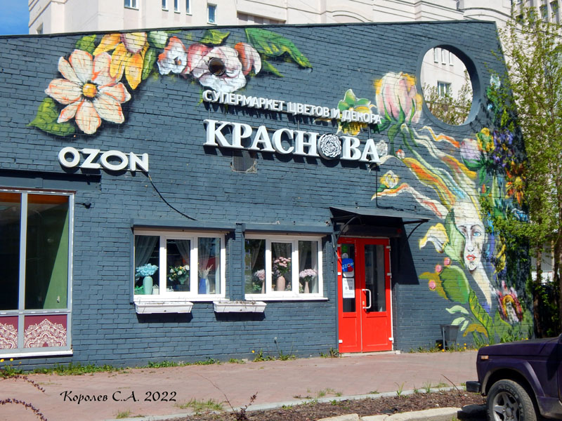 граффити «Цветы» на проспекте Строителей 20б во Владимире фото vgv