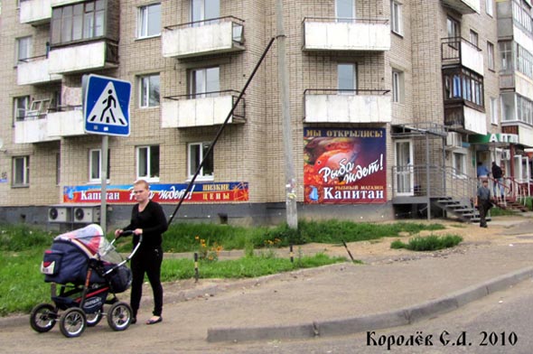магазин рыбы и морепродуктов «Босс Рыбосс» на проспекте Строителей 46 во Владимире фото vgv