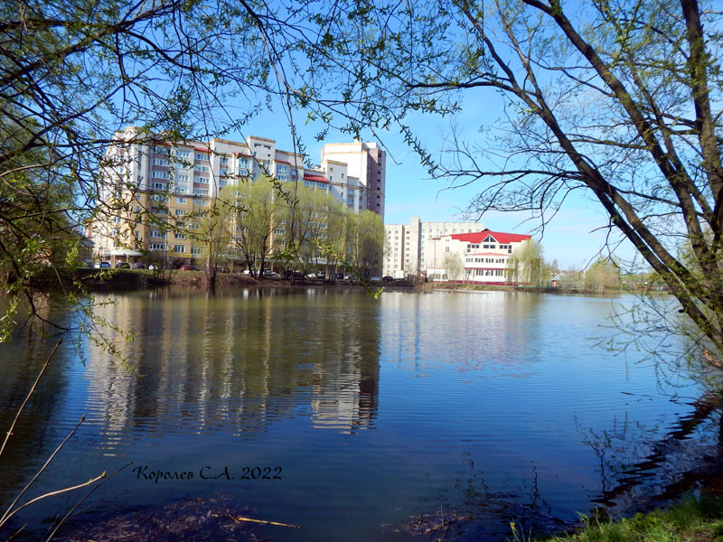 «Соловьиный пруд» за школой N 19 на улице Студенческой во Владимире фото vgv