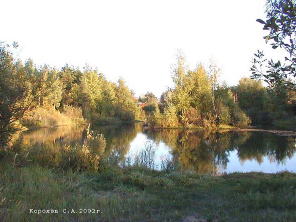 маленький пруд озеро у дома 29а на Судогодском шоссе во Владимире фото vgv