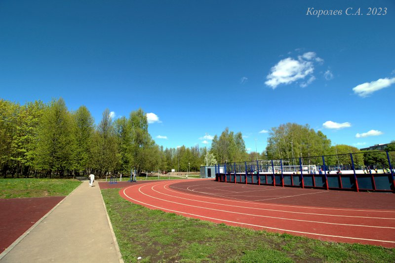 Суздальский проспект 8 парк Добросельский во Владимире фото vgv