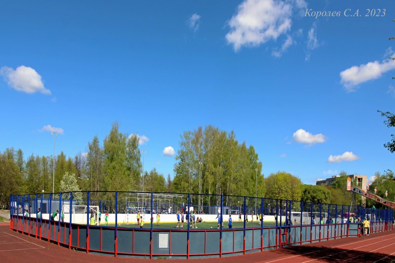 стадион в парке Добросельский в Добром во Владимире фото vgv
