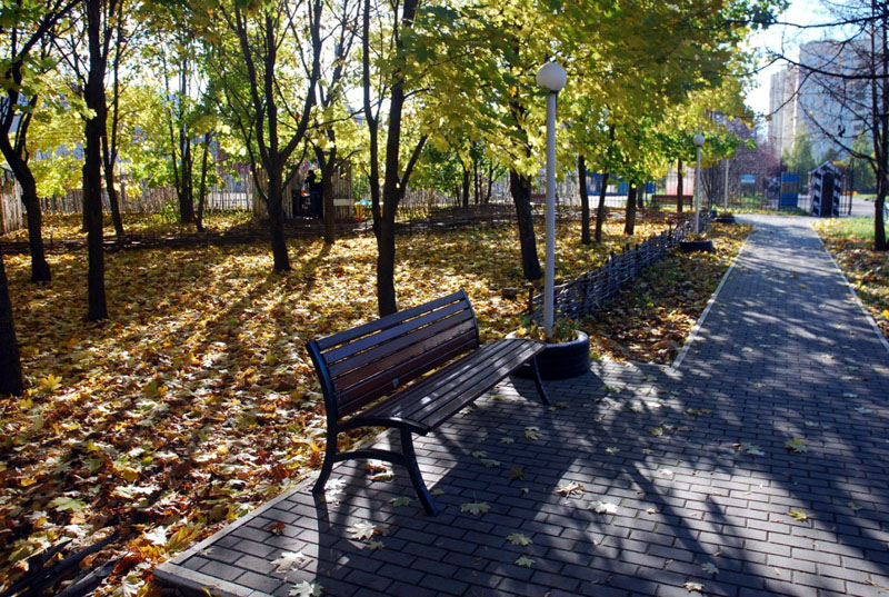Суздальский проспект 8 парк Добросельский во Владимире фото vgv