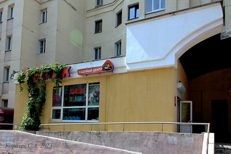 торговый центр «Дачник» на Суздальском 13 во Владимире фото vgv