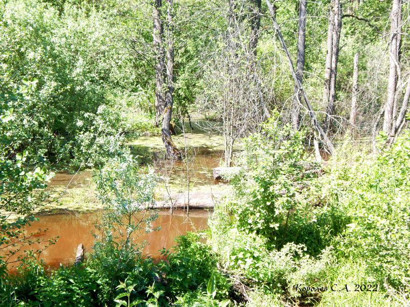 ручей Чеклушка у деревни Вилки во Владимире фото vgv