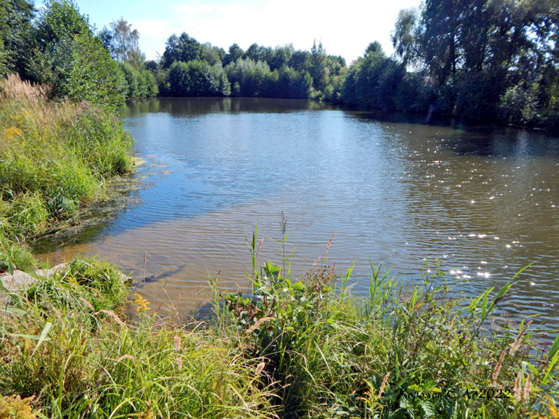 Пруд на реке Белява в Уварово во Владимире фото vgv
