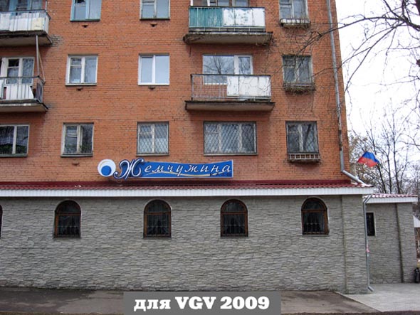 кафе «Жемчужина» на Василисина 14 во Владимире фото vgv
