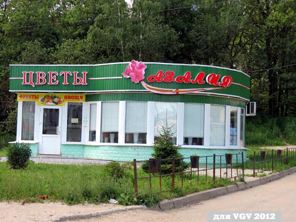 салон цветов «Азалия» на Верхней Дуброва 26б во Владимире фото vgv