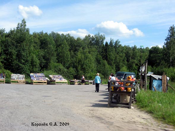 стихийный микрорынок на трассе во Владимире фото vgv