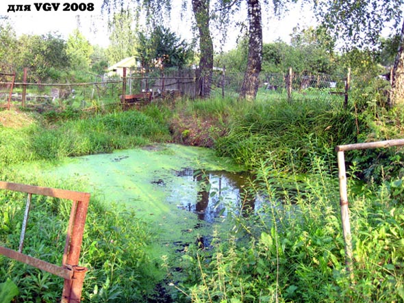 пруд на улице Зеленой в Оргтруде во Владимире фото vgv