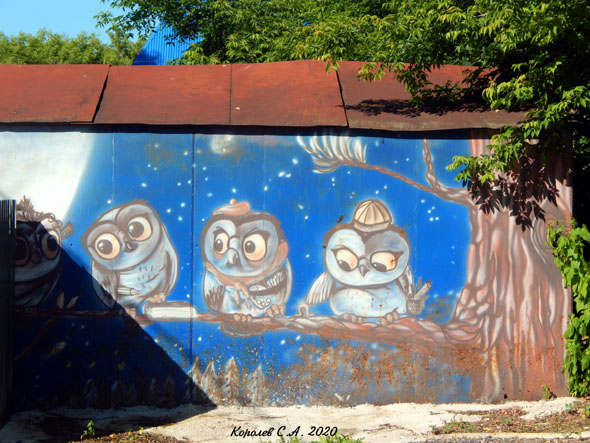 «Четыре совы на ветке» граффити на стене гаража на Железнодорожной 19 во Владимире фото vgv
