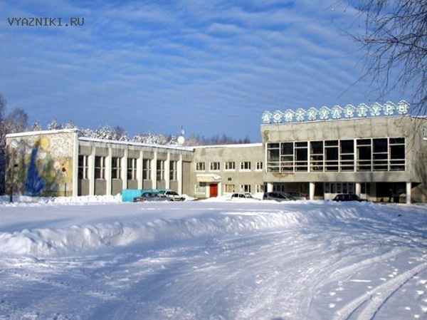 Городской центр культуры и отдыха Спутник в Вязниковском районе Владимирской области фото vgv