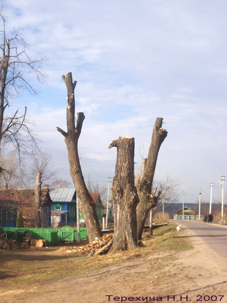 Три поверженных Богатыря в Вязниковском районе Владимирской области фото vgv