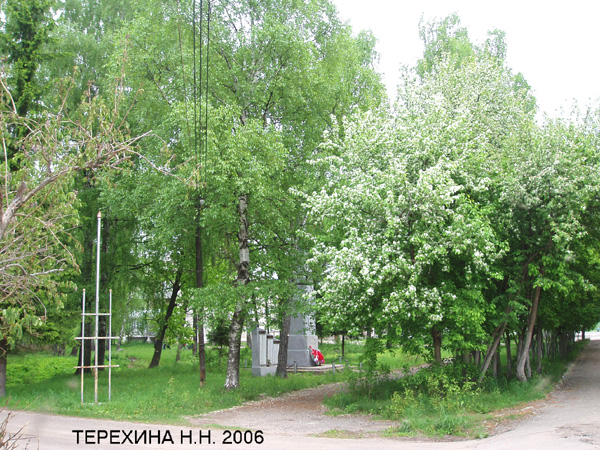 сквер у фабрики в Паустово в Вязниковском районе Владимирской области фото vgv