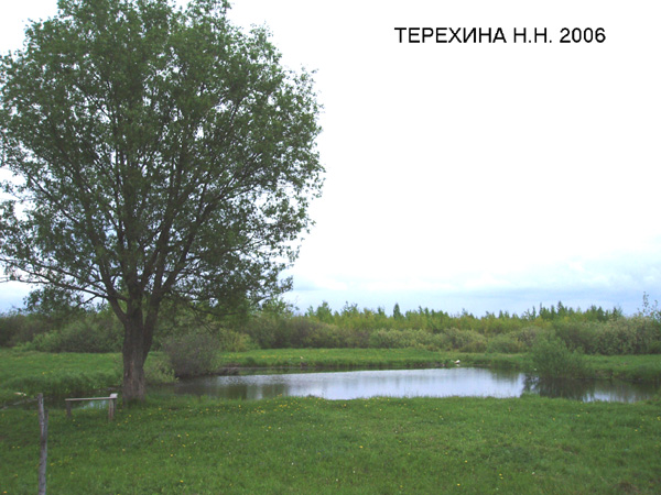 пруд в деревне Сергеево в Вязниковском районе Владимирской области фото vgv