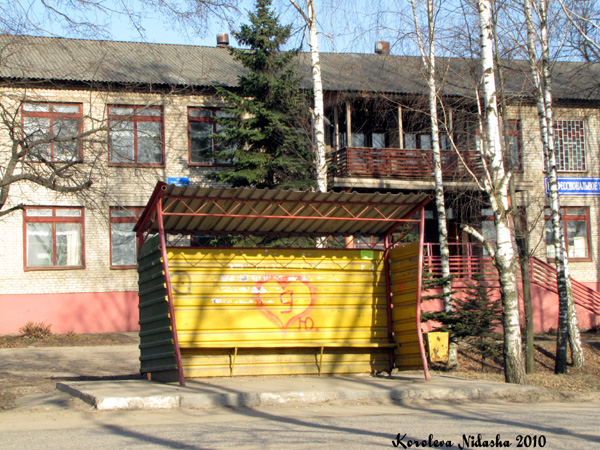 Остановка у ПТУ №38 в Юрьев Польском районе Владимирской области фото vgv